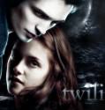 Twilight Collection (2008-2012)