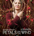 Petals On The Wind 2014 Hdtv