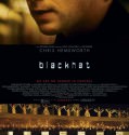 Blackhat (2015)
