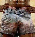 The King of Havana (2015)