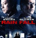 Rain Fall (2009)