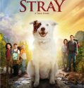 The Stray (2017)