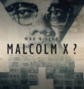 Who Killed Malcolm X (2020-)